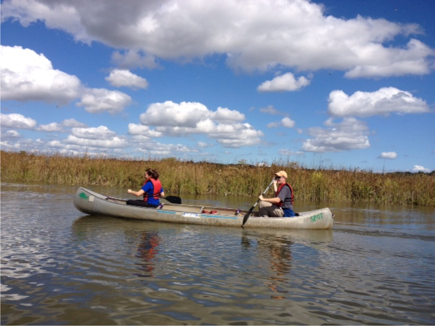 Environmental Studies University